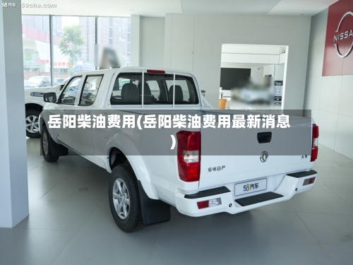 岳阳柴油费用(岳阳柴油费用最新消息)-第3张图片