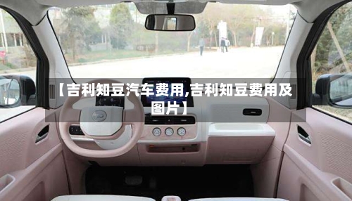 【吉利知豆汽车费用,吉利知豆费用及图片】-第3张图片