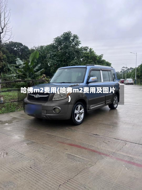 哈佛m2费用(哈弗m2费用及图片)-第2张图片