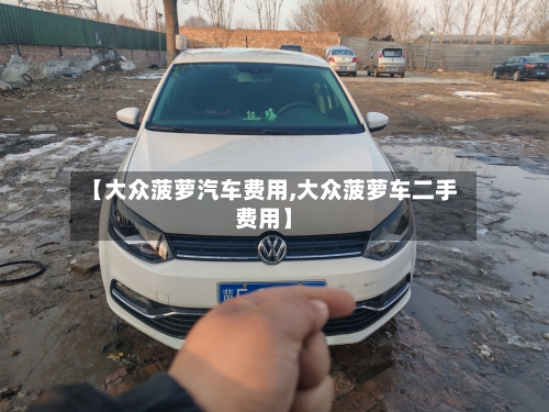 【大众菠萝汽车费用,大众菠萝车二手费用】
