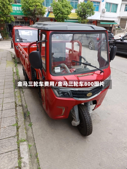 金马三轮车费用/金马三轮车800图片