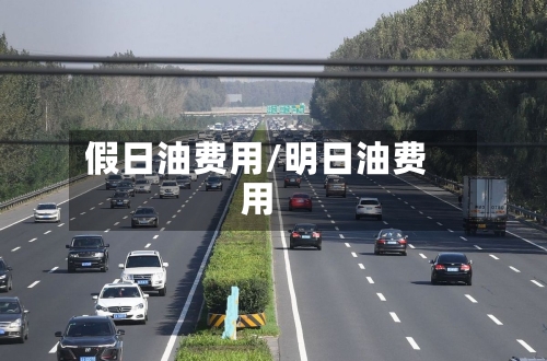 假日油费用/明日油费用-第2张图片
