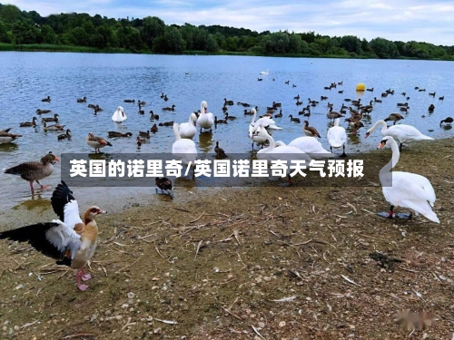 英国的诺里奇/英国诺里奇天气预报
