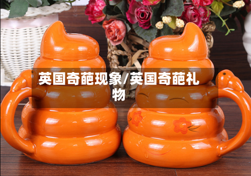 英国奇葩现象/英国奇葩礼物