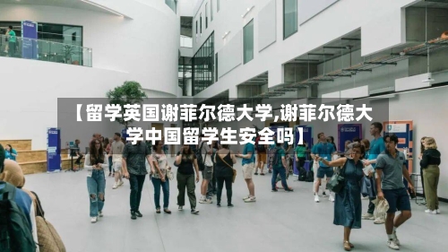 【留学英国谢菲尔德大学,谢菲尔德大学中国留学生安全吗】-第2张图片
