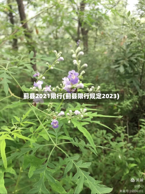 蓟县2021限行(蓟县限行规定2023)