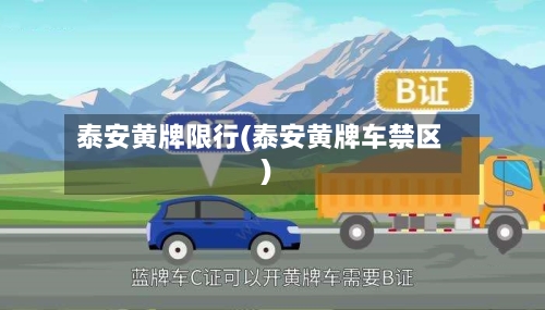 泰安黄牌限行(泰安黄牌车禁区)-第3张图片