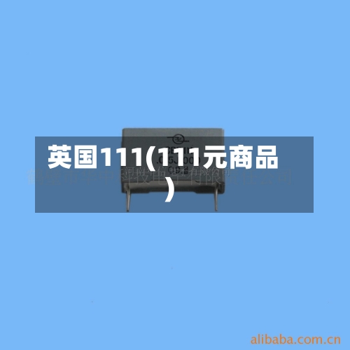 英国111(111元商品)