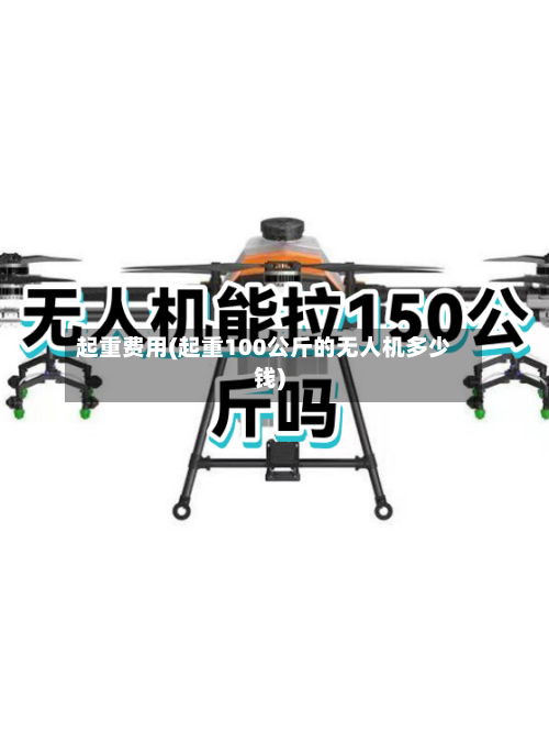 起重费用(起重100公斤的无人机多少钱)