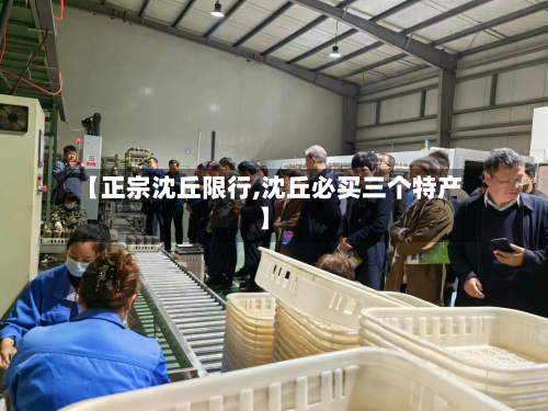 【正宗沈丘限行,沈丘必买三个特产】