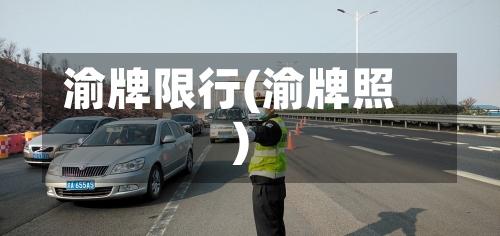 渝牌限行(渝牌照)