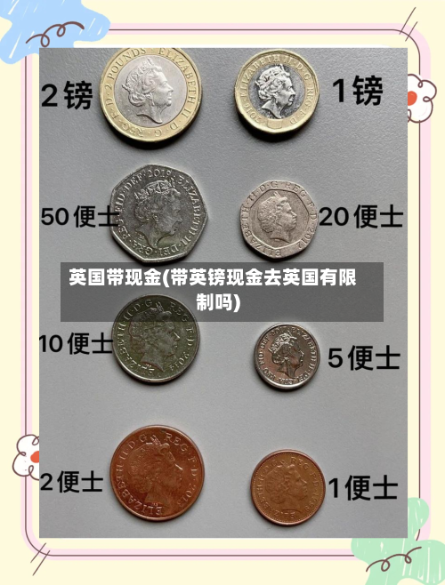 英国带现金(带英镑现金去英国有限制吗)
