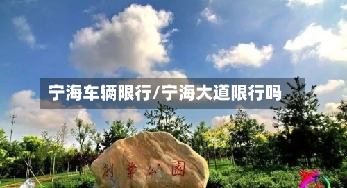 宁海车辆限行/宁海大道限行吗
