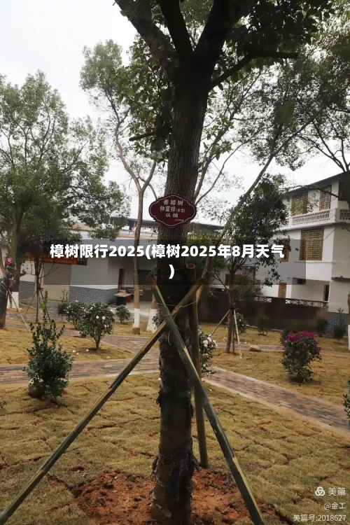 樟树限行2025(樟树2025年8月天气)-第2张图片
