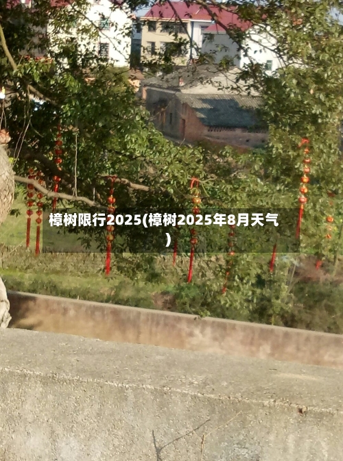 樟树限行2025(樟树2025年8月天气)