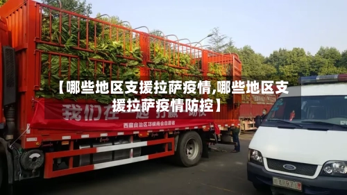 【哪些地区支援拉萨疫情,哪些地区支援拉萨疫情防控】