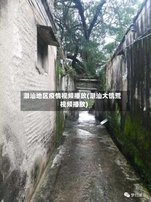 潮汕地区疫情视频播放(潮汕大饥荒视频播放)-第2张图片