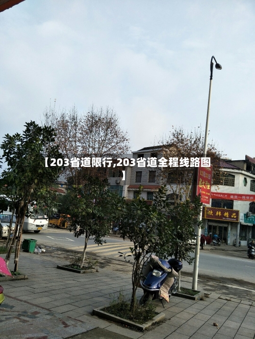 【203省道限行,203省道全程线路图】-第2张图片