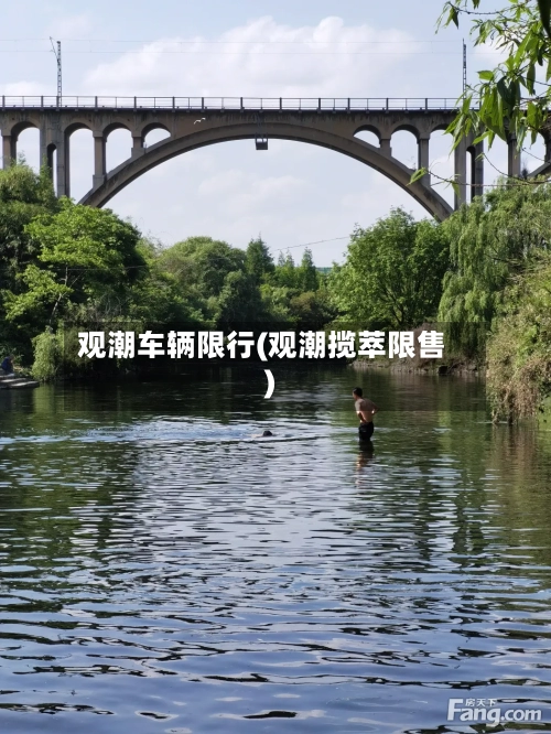 观潮车辆限行(观潮揽萃限售)