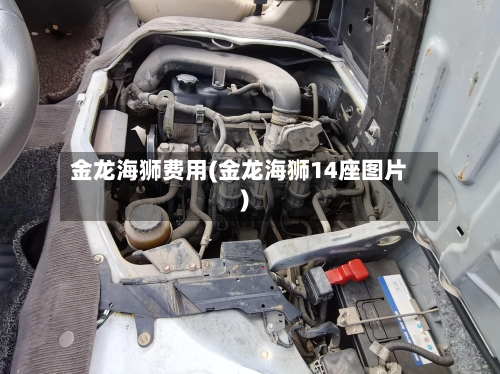 金龙海狮费用(金龙海狮14座图片)