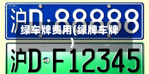 绿车牌费用(绿牌车牌)