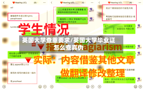 英国大学查重要求/英国大学毕业证怎么查真伪-第3张图片