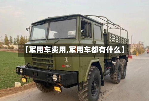 【军用车费用,军用车都有什么】-第2张图片