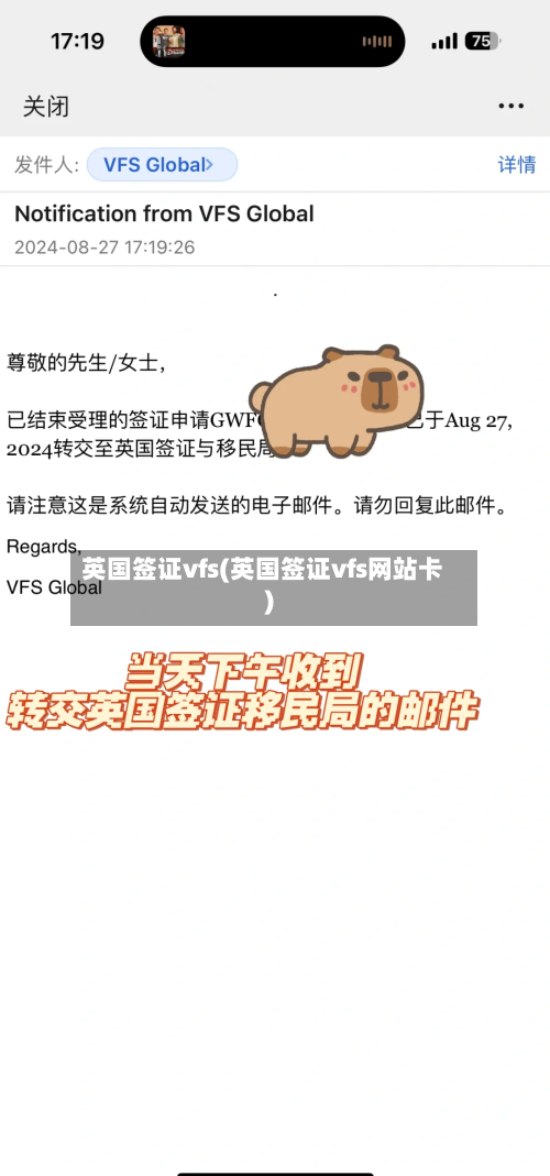 英国签证vfs(英国签证vfs网站卡)-第2张图片