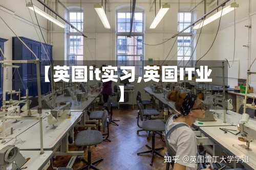 【英国it实习,英国IT业】