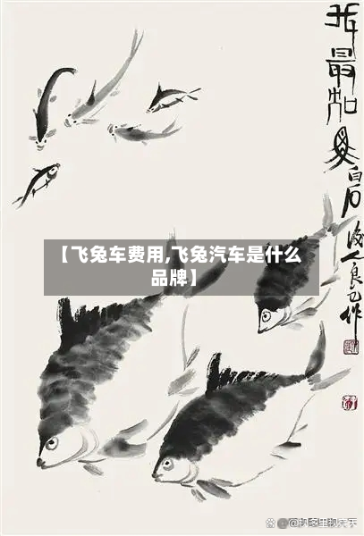 【飞兔车费用,飞兔汽车是什么品牌】