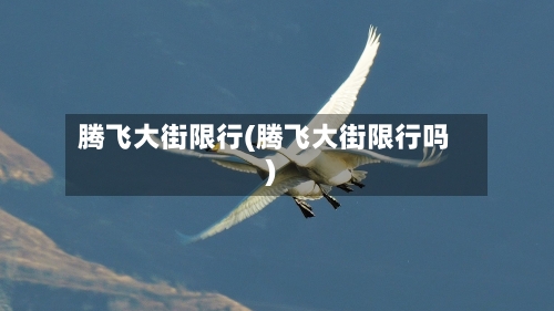 腾飞大街限行(腾飞大街限行吗)-第2张图片