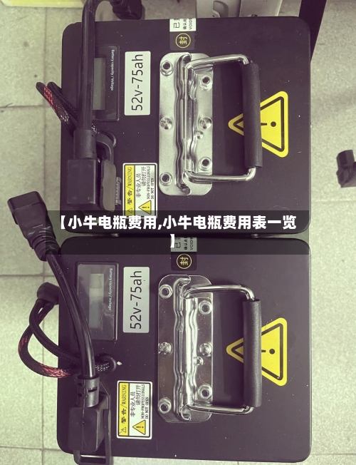 【小牛电瓶费用,小牛电瓶费用表一览】