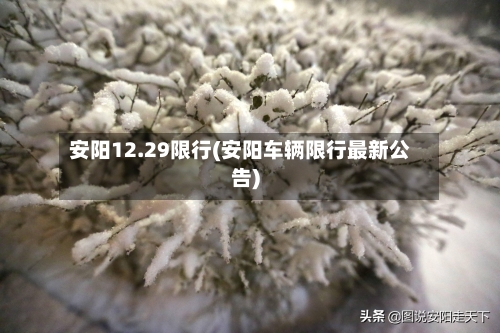 安阳12.29限行(安阳车辆限行最新公告)