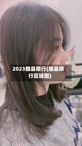 2023魏县限行(魏县限行区域图)
