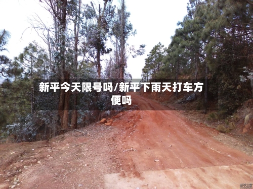 新平今天限号吗/新平下雨天打车方便吗-第2张图片