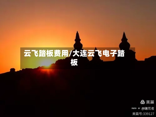 云飞踏板费用/大连云飞电子踏板-第2张图片