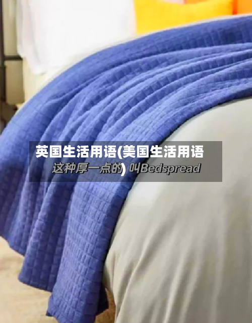 英国生活用语(美国生活用语)