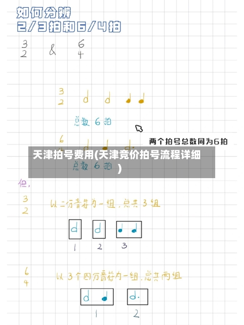 天津拍号费用(天津竞价拍号流程详细)