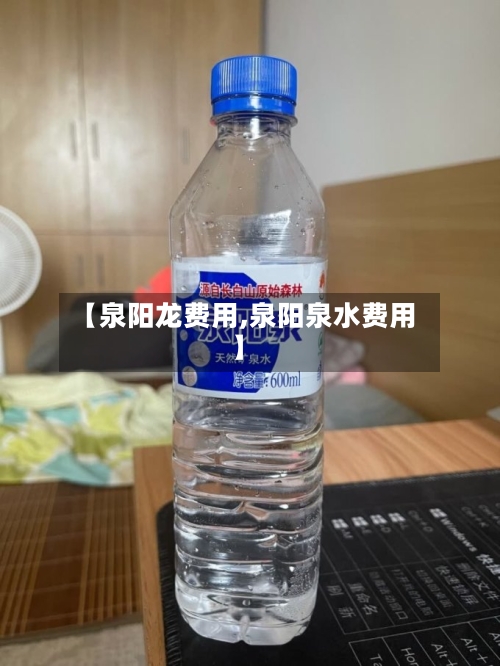 【泉阳龙费用,泉阳泉水费用】-第3张图片