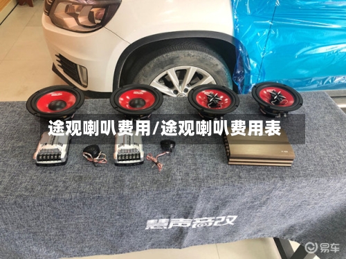 途观喇叭费用/途观喇叭费用表-第2张图片