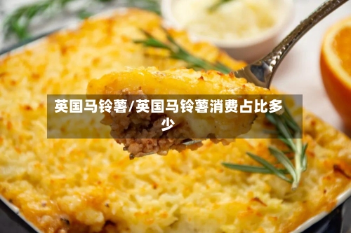 英国马铃薯/英国马铃薯消费占比多少-第2张图片