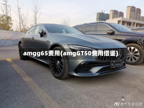 amgg65费用(amgGT50费用借鉴)