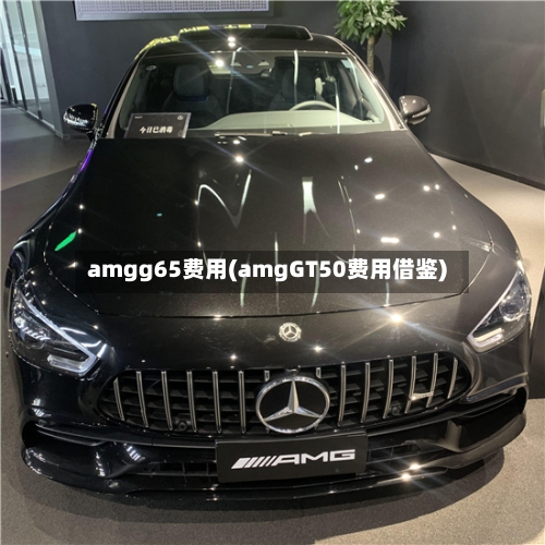 amgg65费用(amgGT50费用借鉴)-第3张图片
