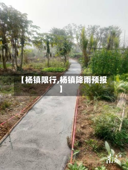 【杨镇限行,杨镇降雨预报】