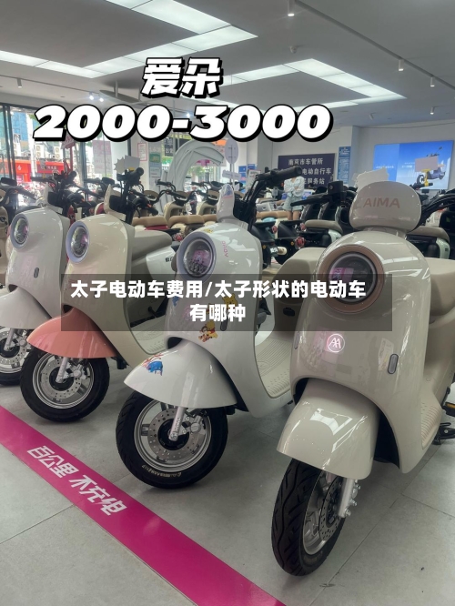 太子电动车费用/太子形状的电动车有哪种