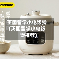 英国留学小电饭煲(英国留学小电饭煲推荐)