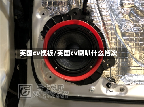 英国cv模板/英国cv喇叭什么档次-第2张图片