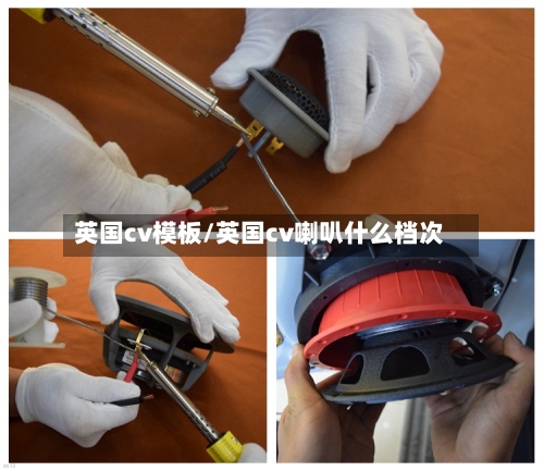英国cv模板/英国cv喇叭什么档次-第3张图片