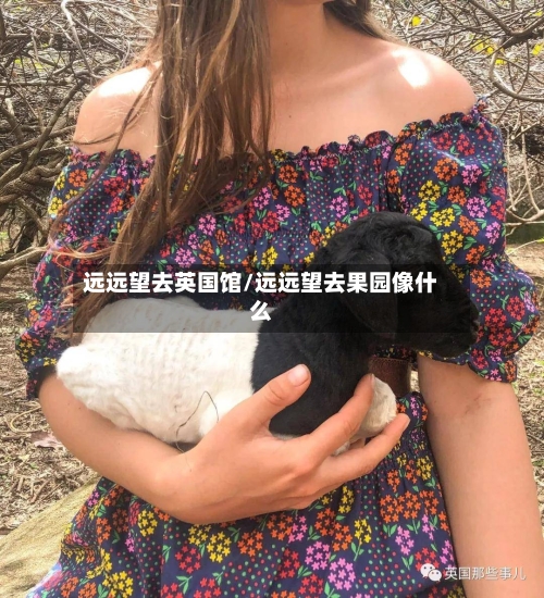 远远望去英国馆/远远望去果园像什么-第2张图片