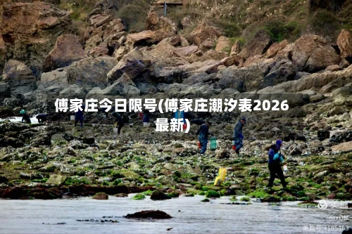 傅家庄今日限号(傅家庄潮汐表2026最新)